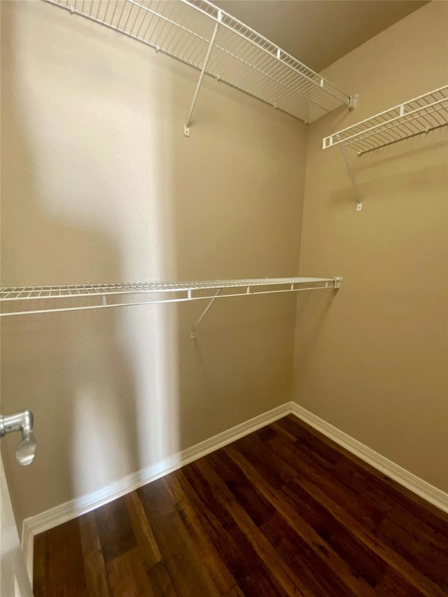 Walk in closet featuring dark wood-type flooring