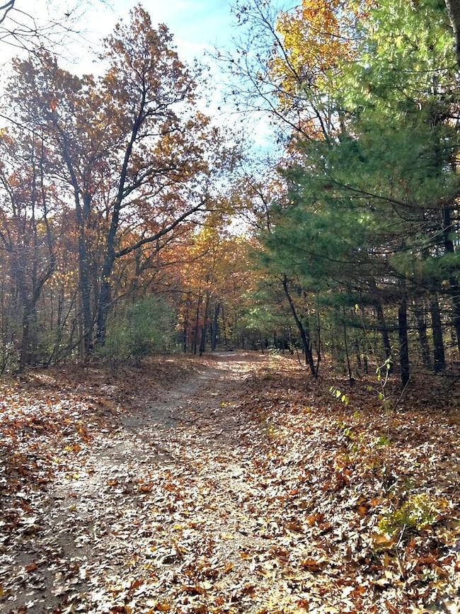 VL 0 Burroughs Drive