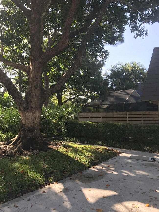 Karyns new parking pic