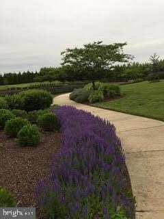 100 Forget me Not Dr, White Post, VA 22663 - photo 5