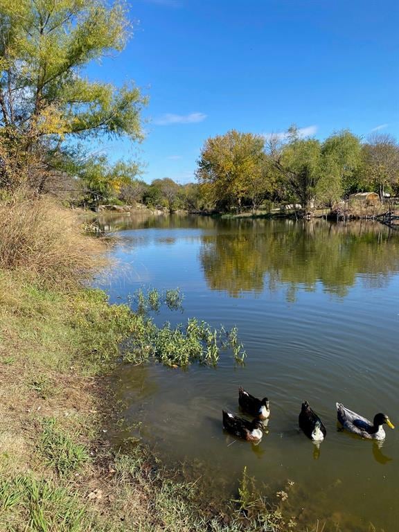 308 Pioneer Trail, Weatherford, TX 76087 - photo 6