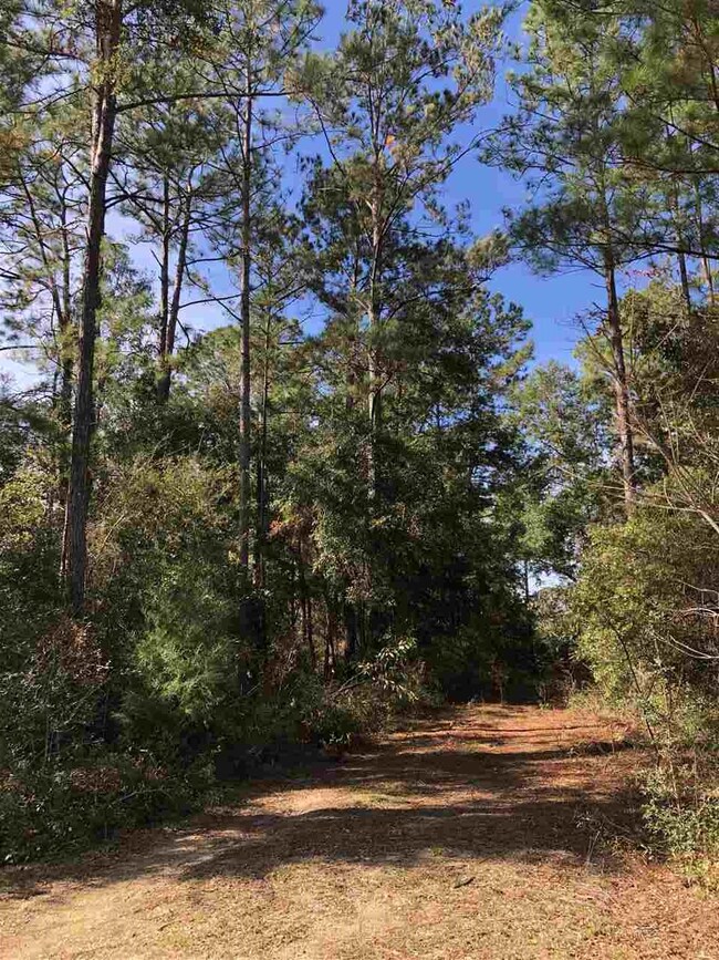 0 Magnolia Ridge unit 300029, Crawfordville, FL 32327 - photo 4