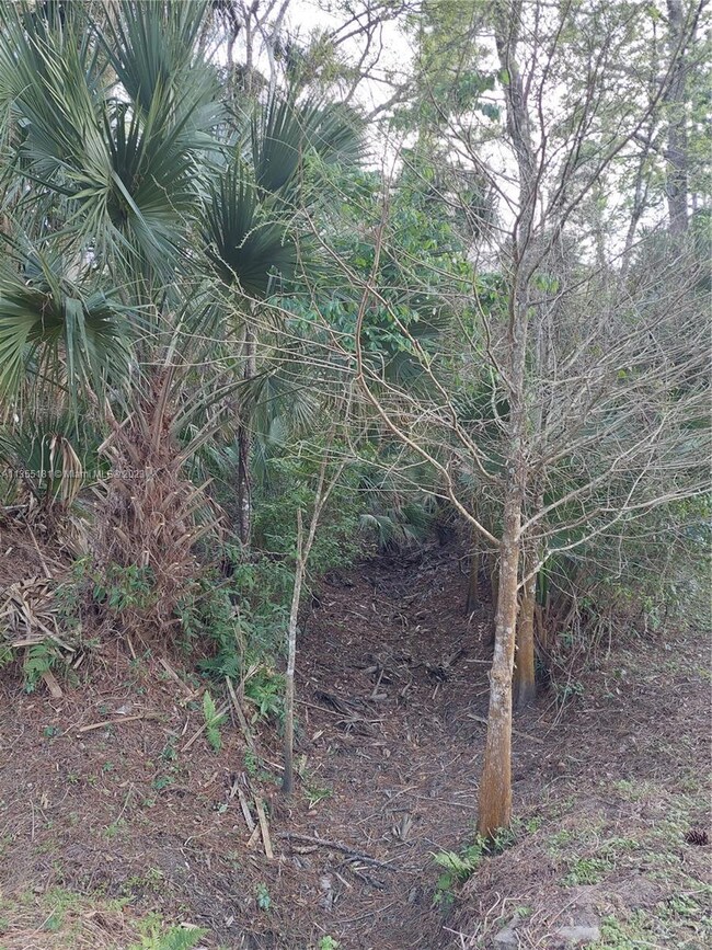 600 NW 134th St, Okeechobee, FL 34972 - photo 2