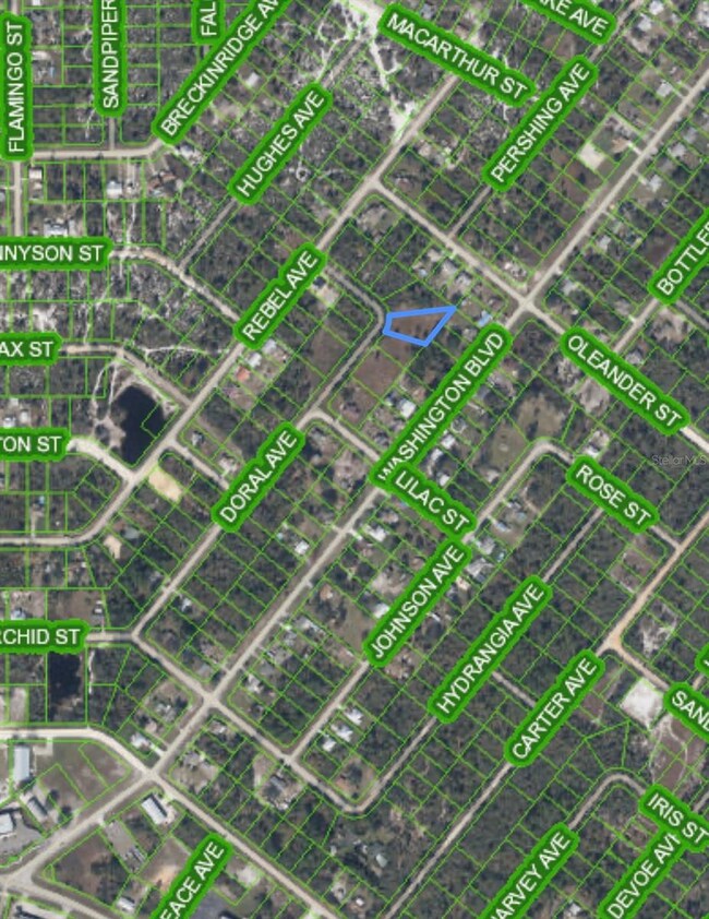 1061 Doral Ave, Lake Placid, FL 33852 - photo 3