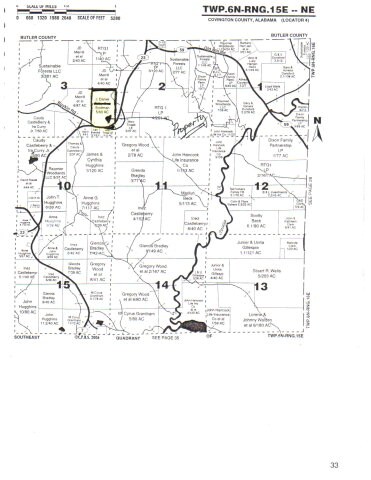 000 Hesters Store Rd, Red Level, AL 36474 - photo 3