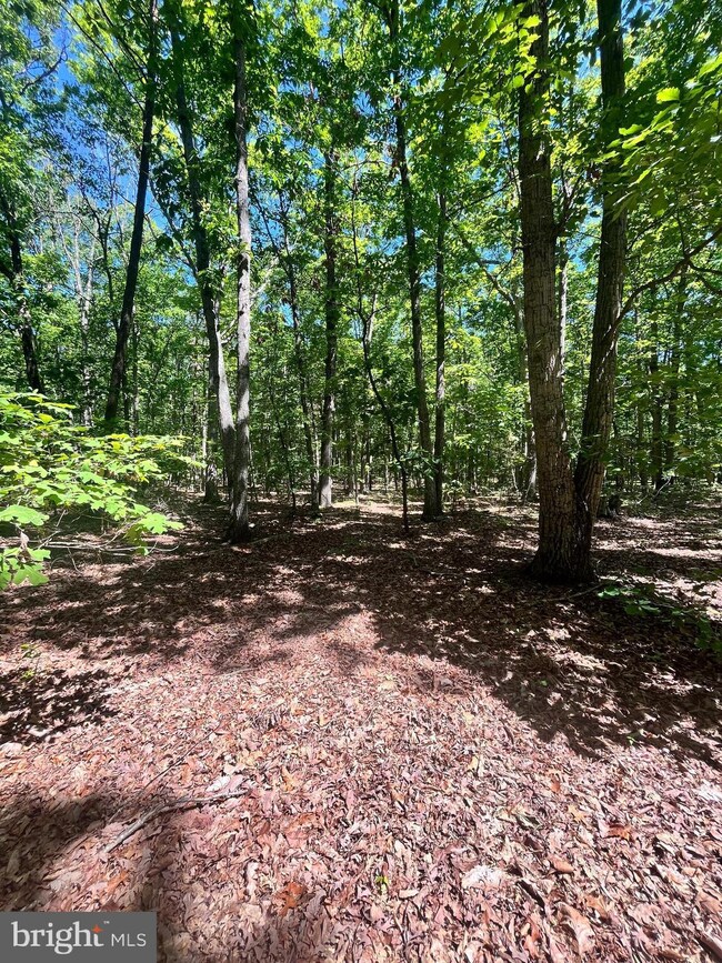 0 Elk Run Rd unit VAFQ2013556, Midland, VA 22728 - photo 6