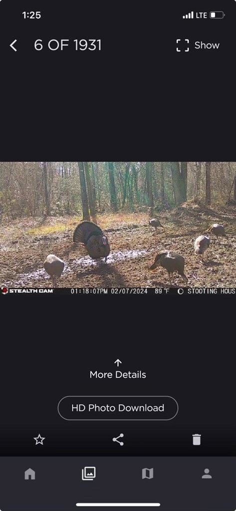 0 Hooks Rd, Pittsview, AL 36871 - photo 6