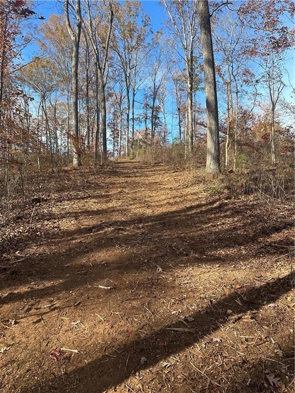 Enjoy a walk in the woods to enjoys views, peace &