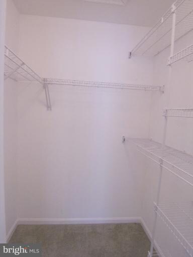 5131 Wagon Shed Cir, Owings Mills, MD 21117 - photo 3