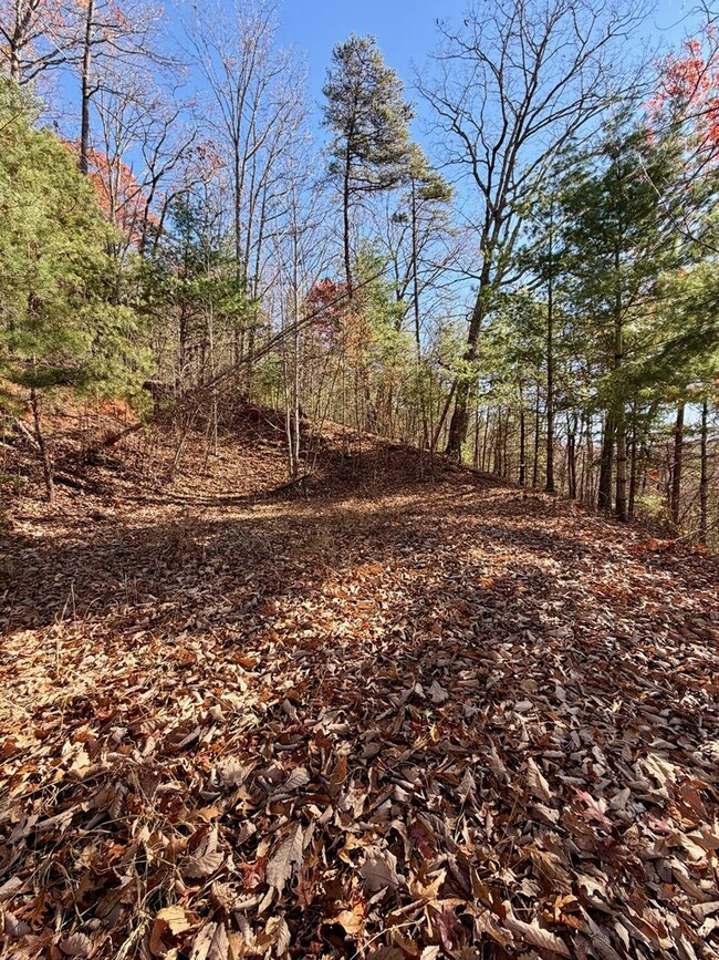 Lot #15 View Ridge Trail, Murphy, NC 28906 - photo 3