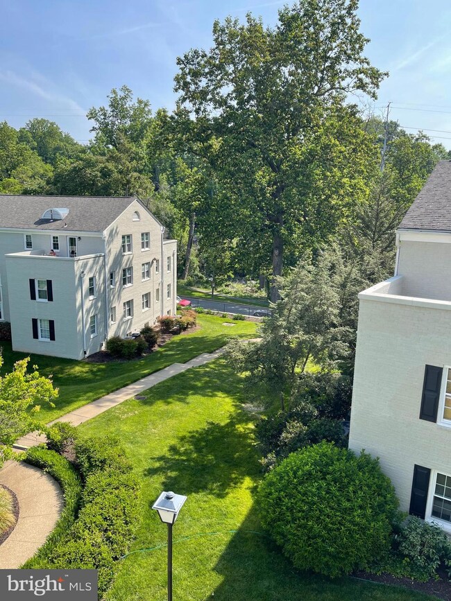 818 S Arlington Mill Dr unit 4301, Arlington, VA 22204 - photo 3