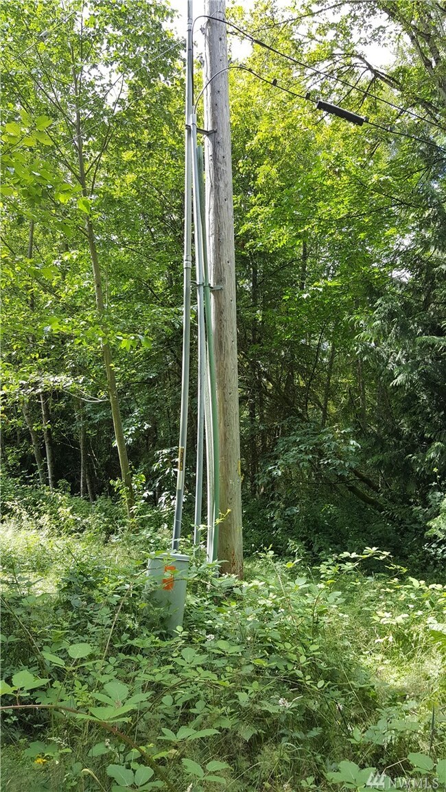 254TH 254th St E, Graham, WA 98338 - photo 4