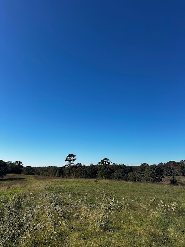 0 Webb Hill Rd, McRae, AR 72102 - photo 2