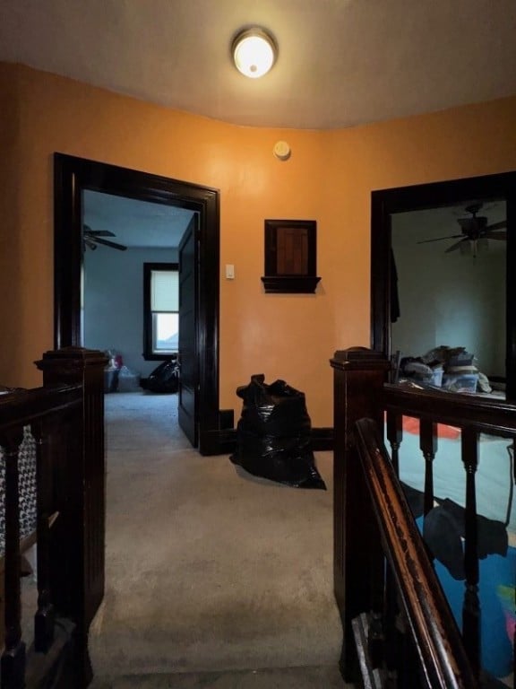 5446 Rosetta St, Pittsburgh, PA 15206 - photo 6