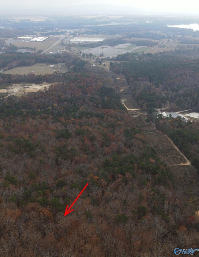 lot#0 County Road 70, Leesburg, AL 35983 - photo 5