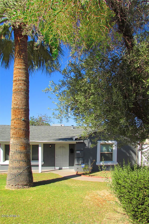3 front-shade trees