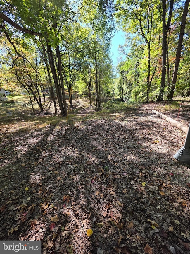 3816 A Jim Smith Ln, New Windsor, MD 21776 - photo 7