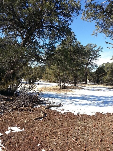 20130108_114105