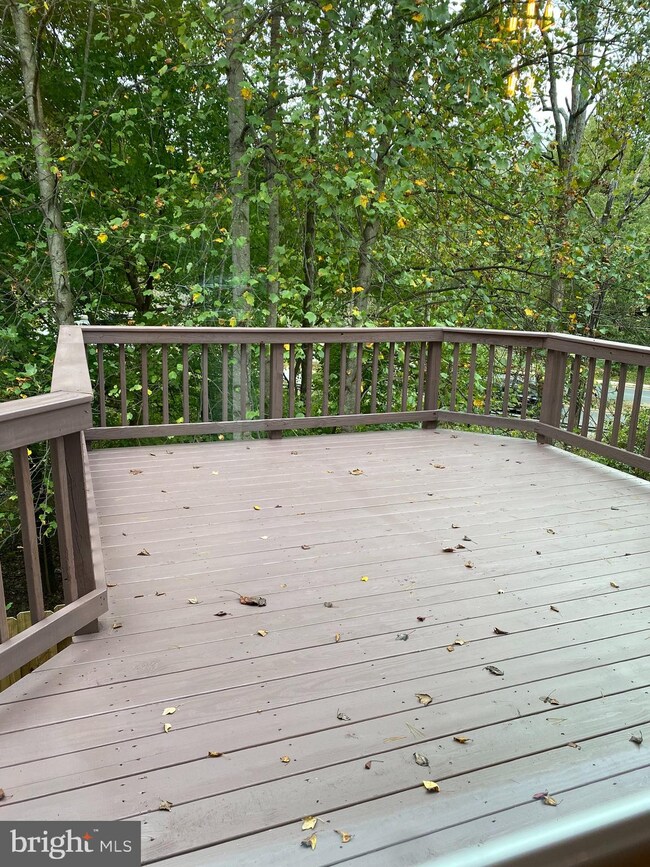 311 Bentley Ct, Stafford, VA 22554 - photo 7