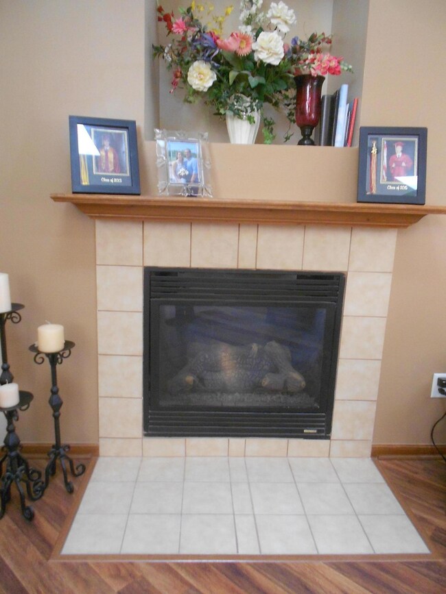 Gas Log Fireplace