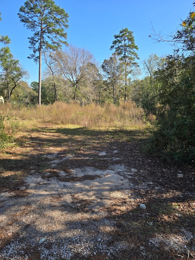 10287 Wanda Ln, Montgomery, TX 77316 - photo 7