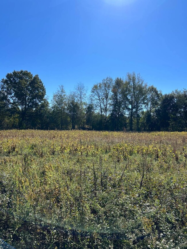 003 Old Wire Rd W unit 3, Wallace, SC 29596 - photo 4