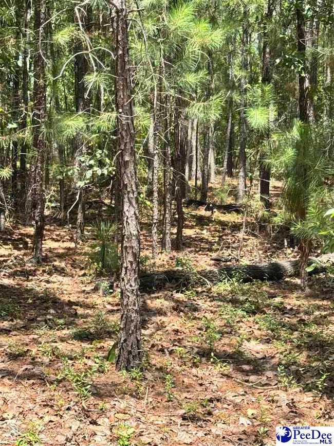 TBD Sailclub Rd (Tm#064) State Rd S-13-674, Hartsville, SC 29550 - photo 2