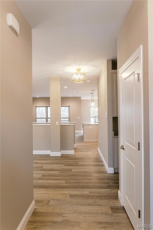 5334 Tesson Ct, Sappington, MO 63128 - photo 6