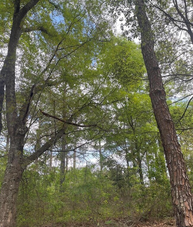 00 Lb Nevels Rd unit 2, Moultrie, GA 31768 - photo 2