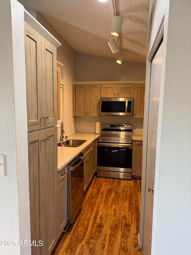 Photo Nov 08 2025, 2 49 52 PM