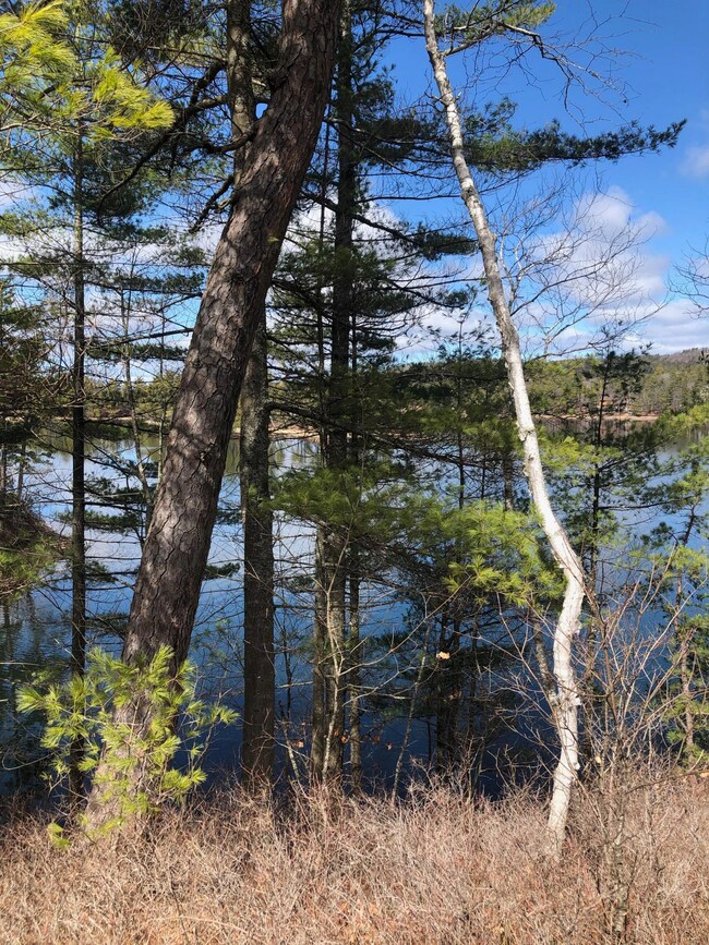Lot 54 Anglin Rd, Wakefield, NH 03830 - photo 6