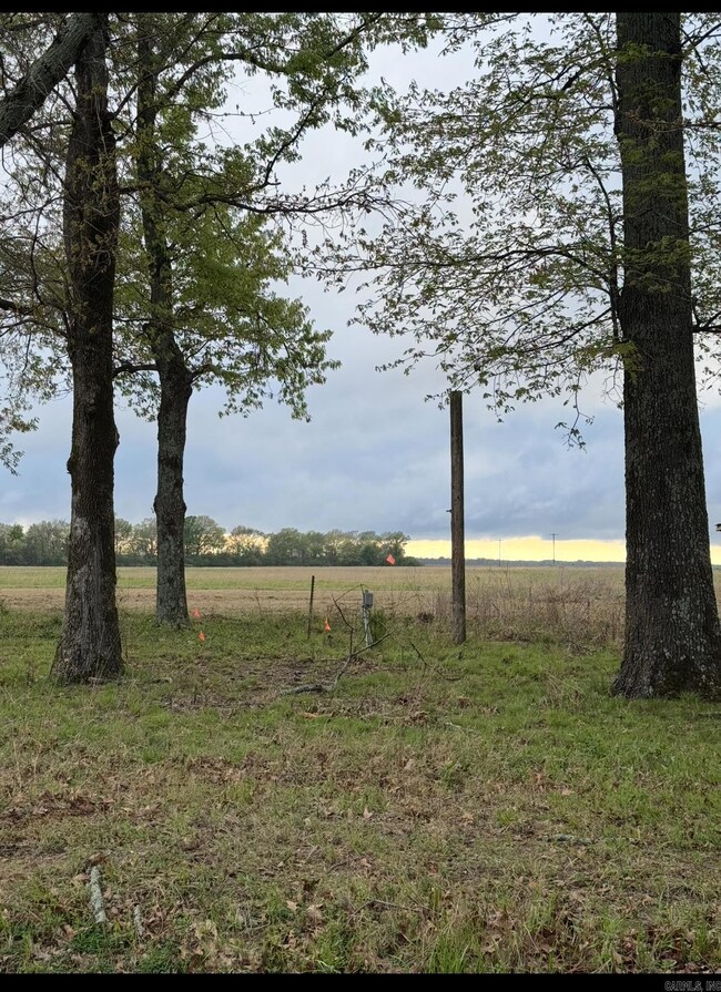 21 Pike Ln, Almyra, AR 72003 - photo 6