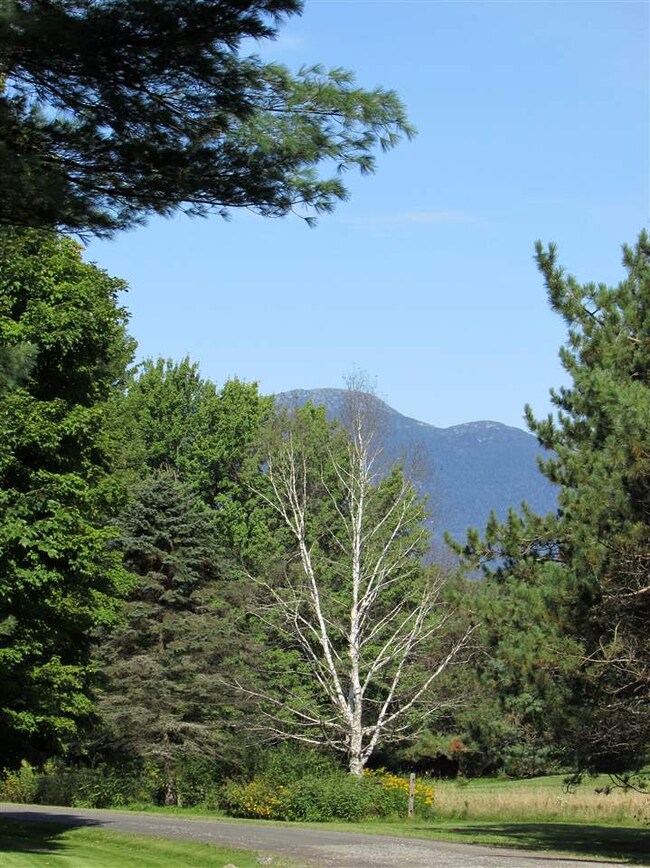 436 Stonybrook Rd unit 40, Stowe, VT 05672 - photo 2