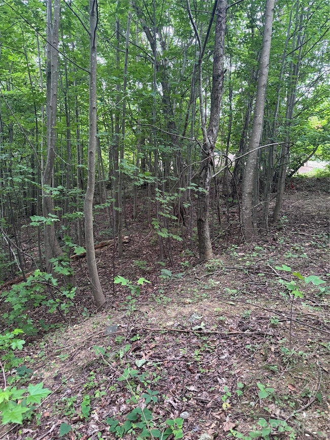 0 Holland Dr unit 18 CAR4146725, Columbus, NC 28722 - photo 4