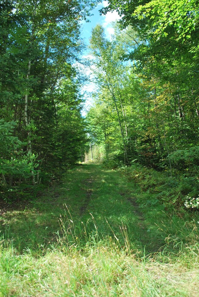 0 South Rd, Harmony, ME 04942 - photo 5