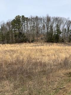 6495 1675 Hwy, Somerset, KY 42501 - photo 7