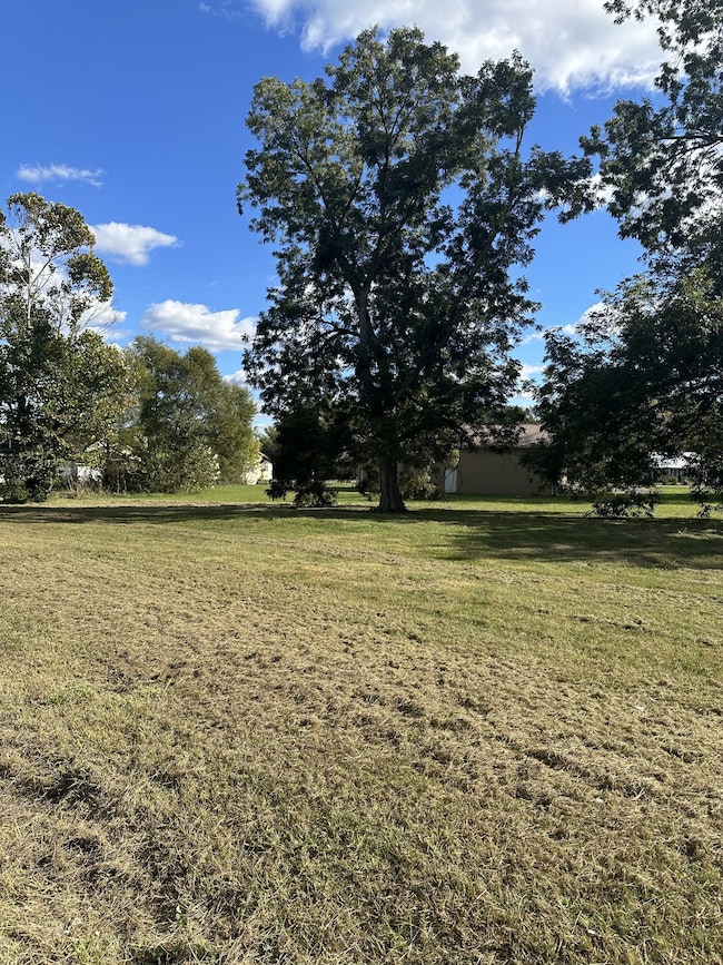 128 Lance St, McMinnville, TN 37110 - photo 6