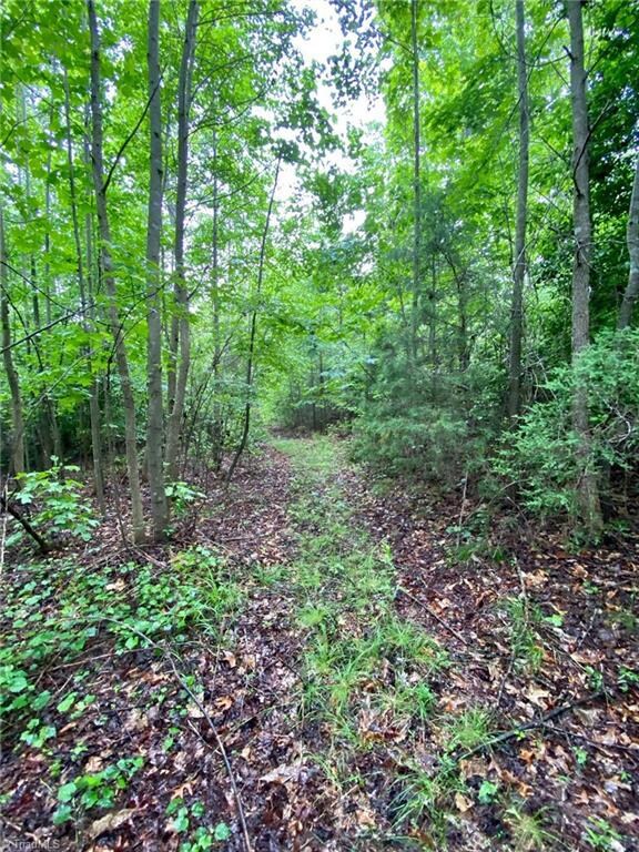 5584 Nc Highway 134, Asheboro, NC 27205 - photo 5