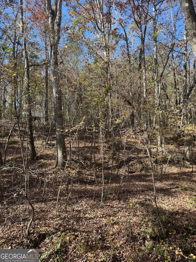 151 W Drummond Rd, West Point, GA 31833 - photo 2