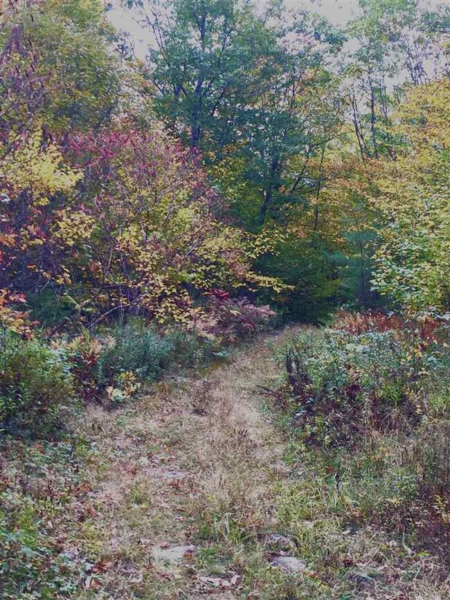 R33-6 Drake Rd Saddle Hill Rd, Meredith, NH 03253 - photo 5