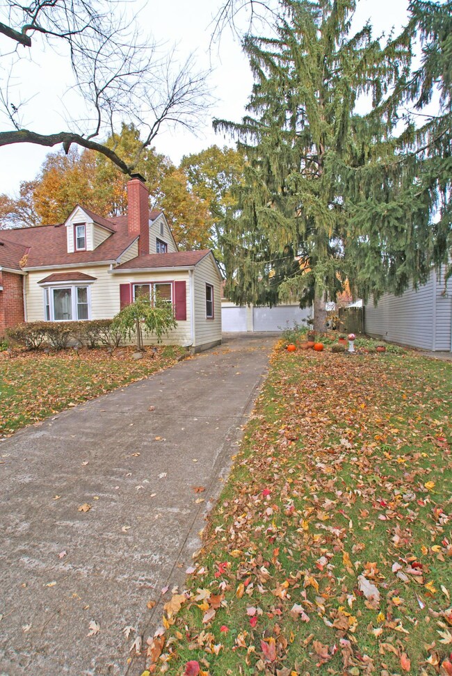 Driveway