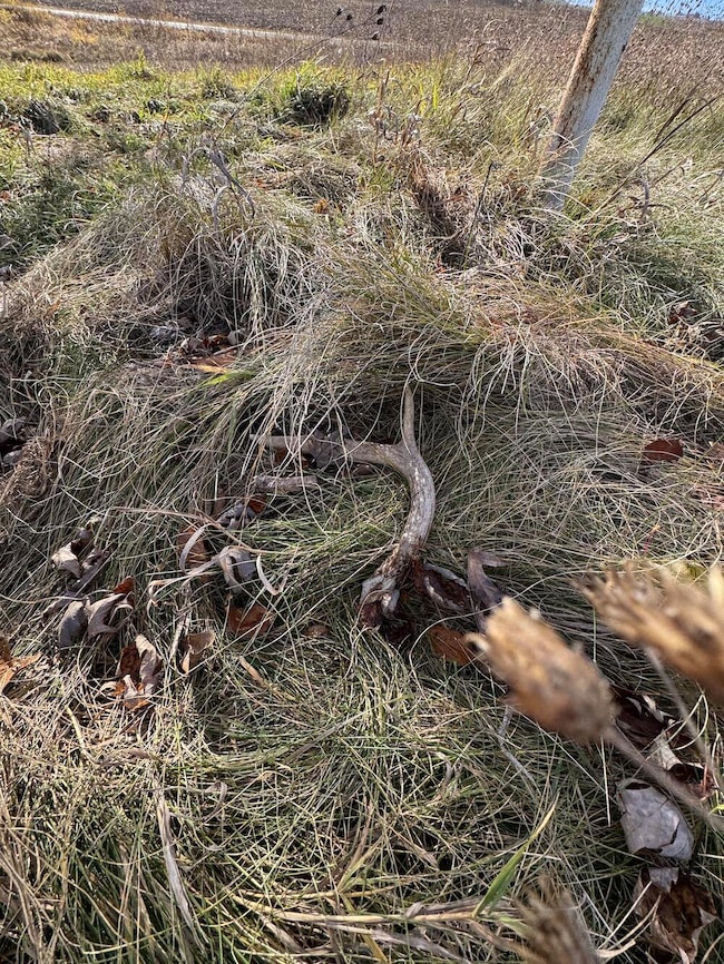 409 S Morrison Rd, West Branch, MI 48661 - photo 6