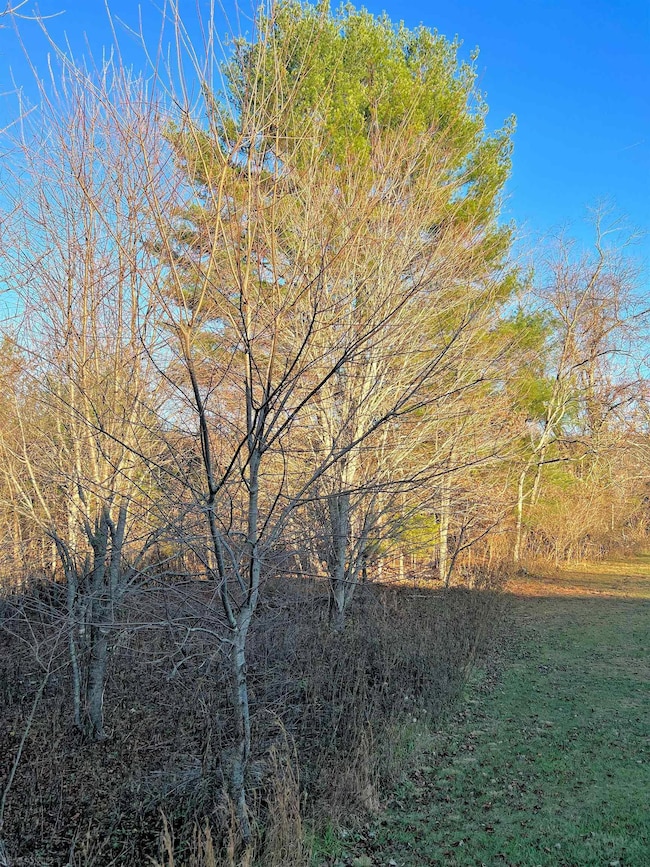 TBD River View Ln, Hiwassee, VA 24347 - photo 6