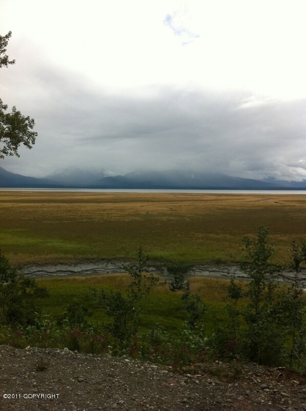 Bluff View 2