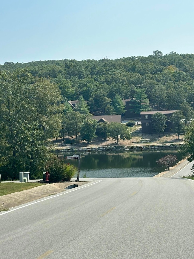 Lot #3 Fox Hollow Rd, Ruth C Township, MO 65737 - photo 6