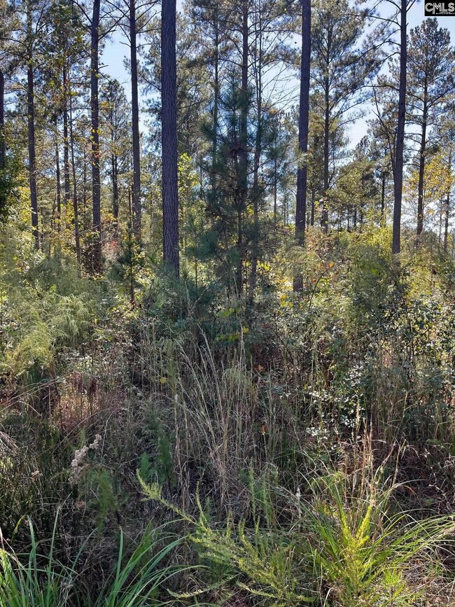 DRF 2 Dawkins Rd unit DRF 2, Pacolet, SC 29372 - photo 4