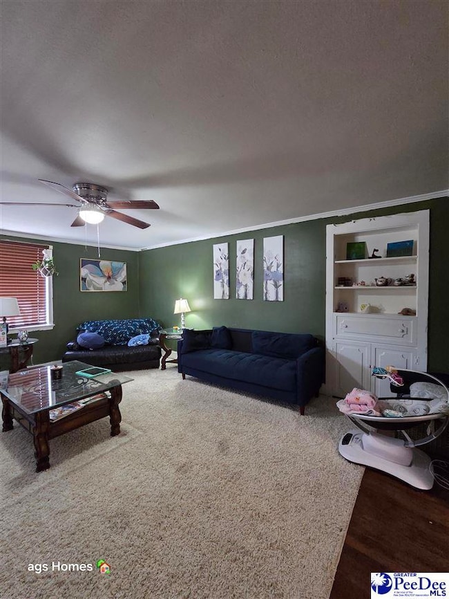 3 Robey St, Cheraw, SC 29520 - photo 5