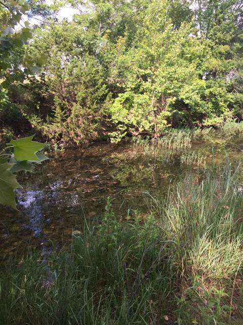 1547 Funf Kinder Rd unit 16, Fredericksburg, TX 78624 - photo 4