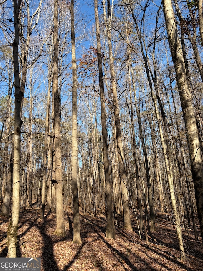 390 Beck Farm Rd, Commerce, GA 30529 - photo 2