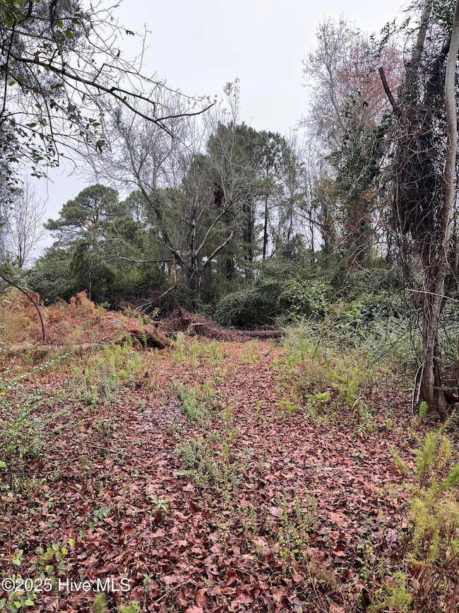 202 South, Beaufort, NC 28516 - photo 3